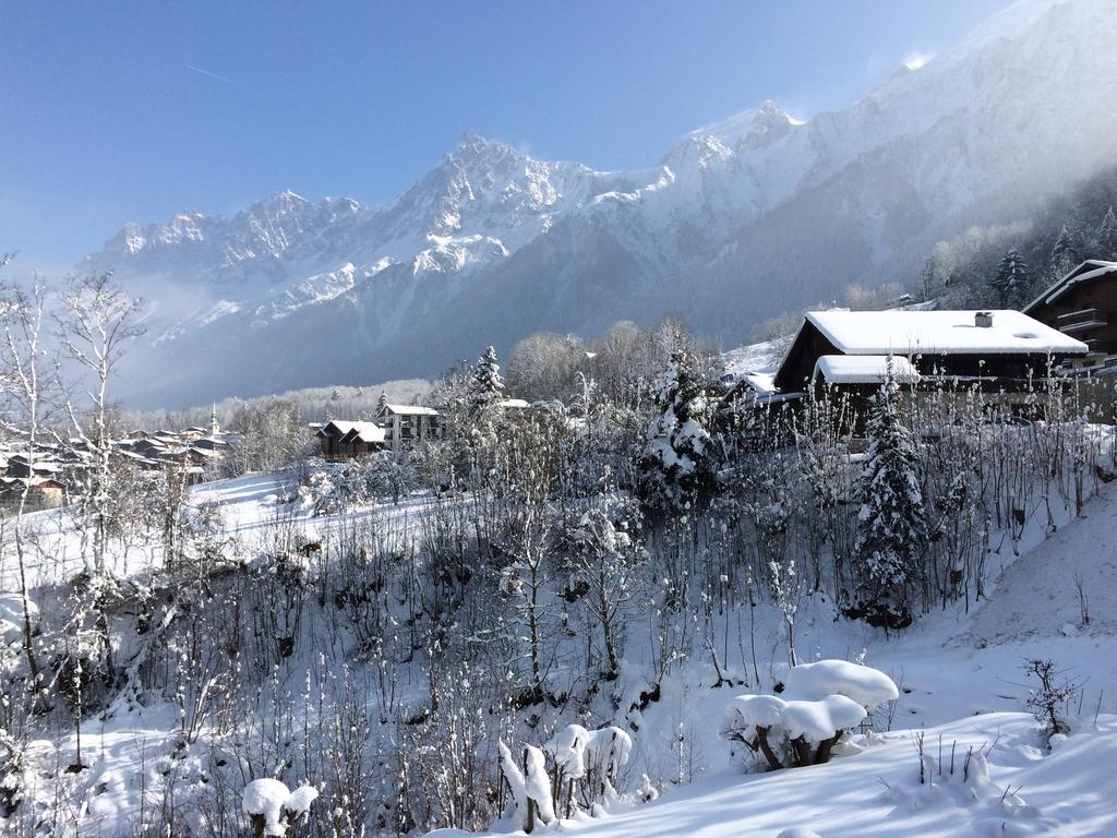 Facing The Chamonix Needles * Les Houches