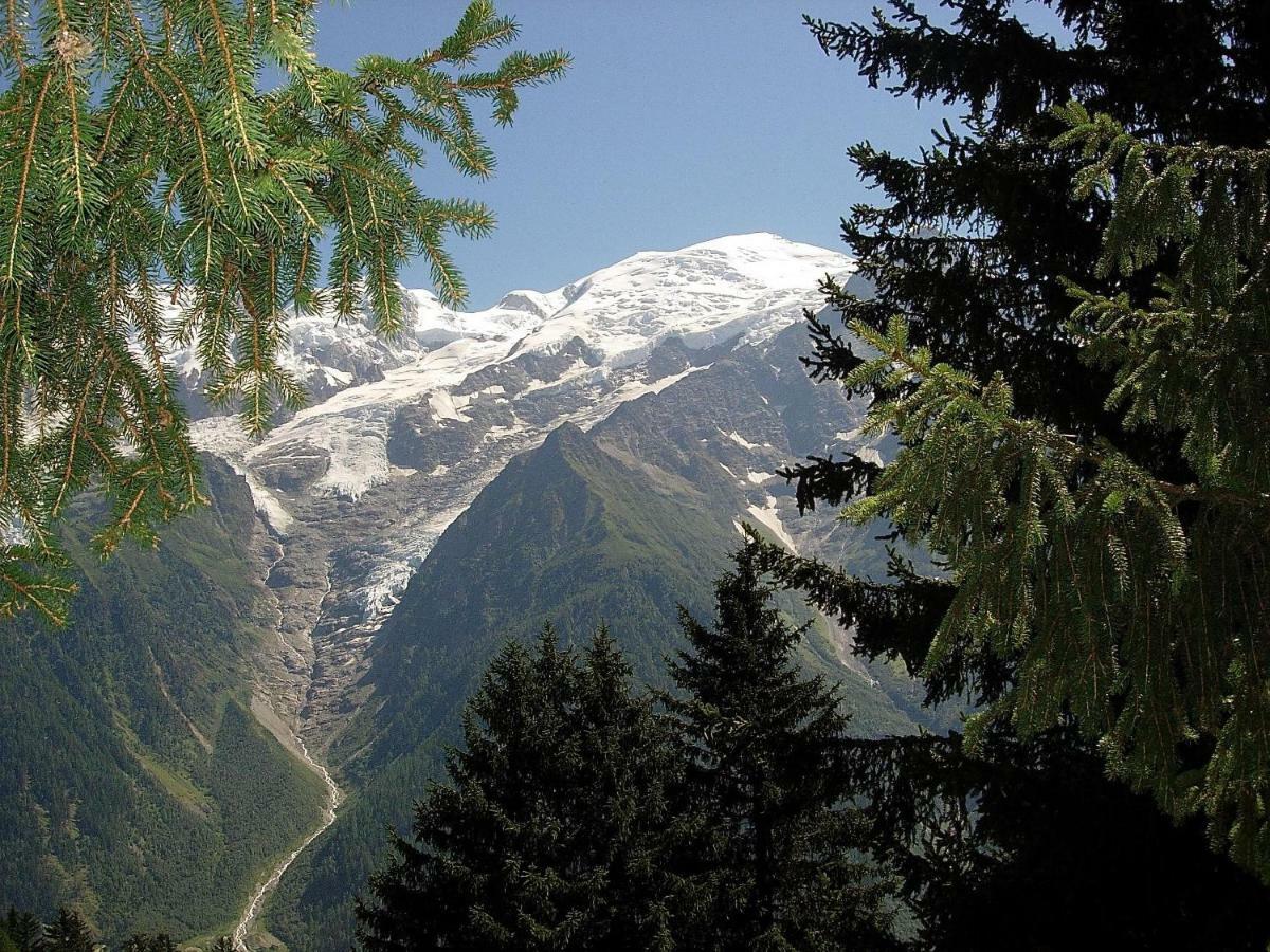 Facing The Chamonix Needles Apartamento Les Houches