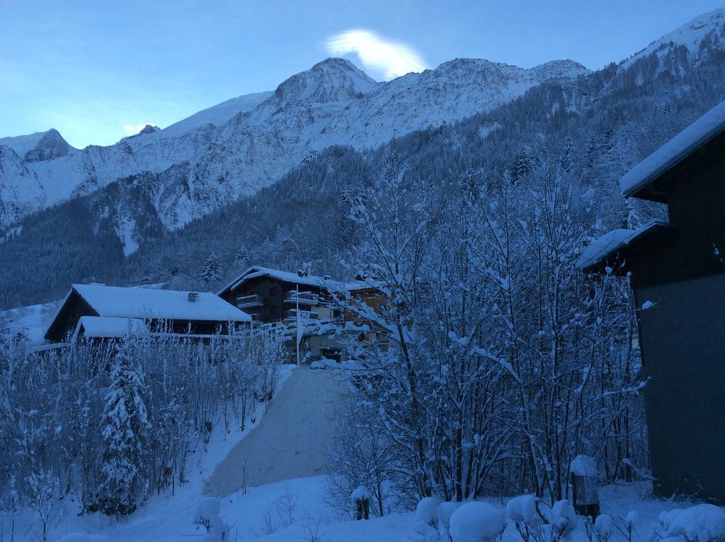 Facing The Chamonix Needles * Les Houches