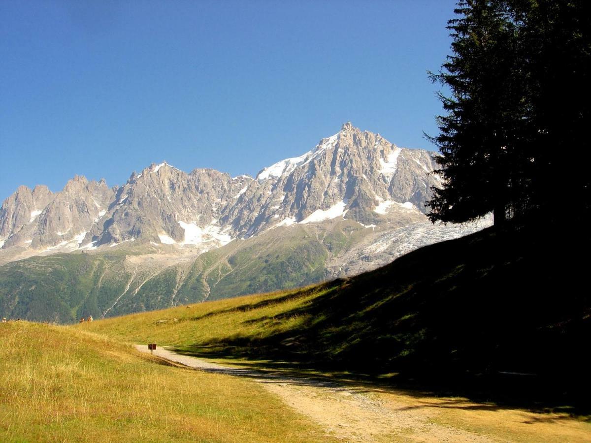 Facing The Chamonix Needles Apartment *